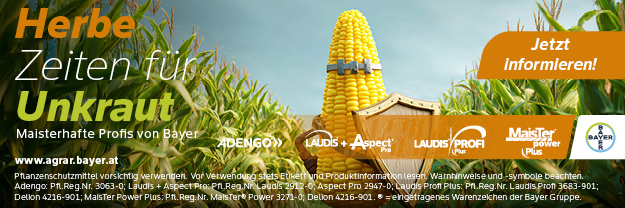 Bayer_Banner_Jänner_2026 © Archiv