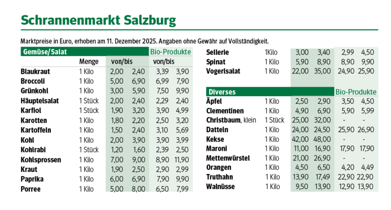 Bildschirmfoto 2025-12-16 um 11.03.20.png © Dürnberger