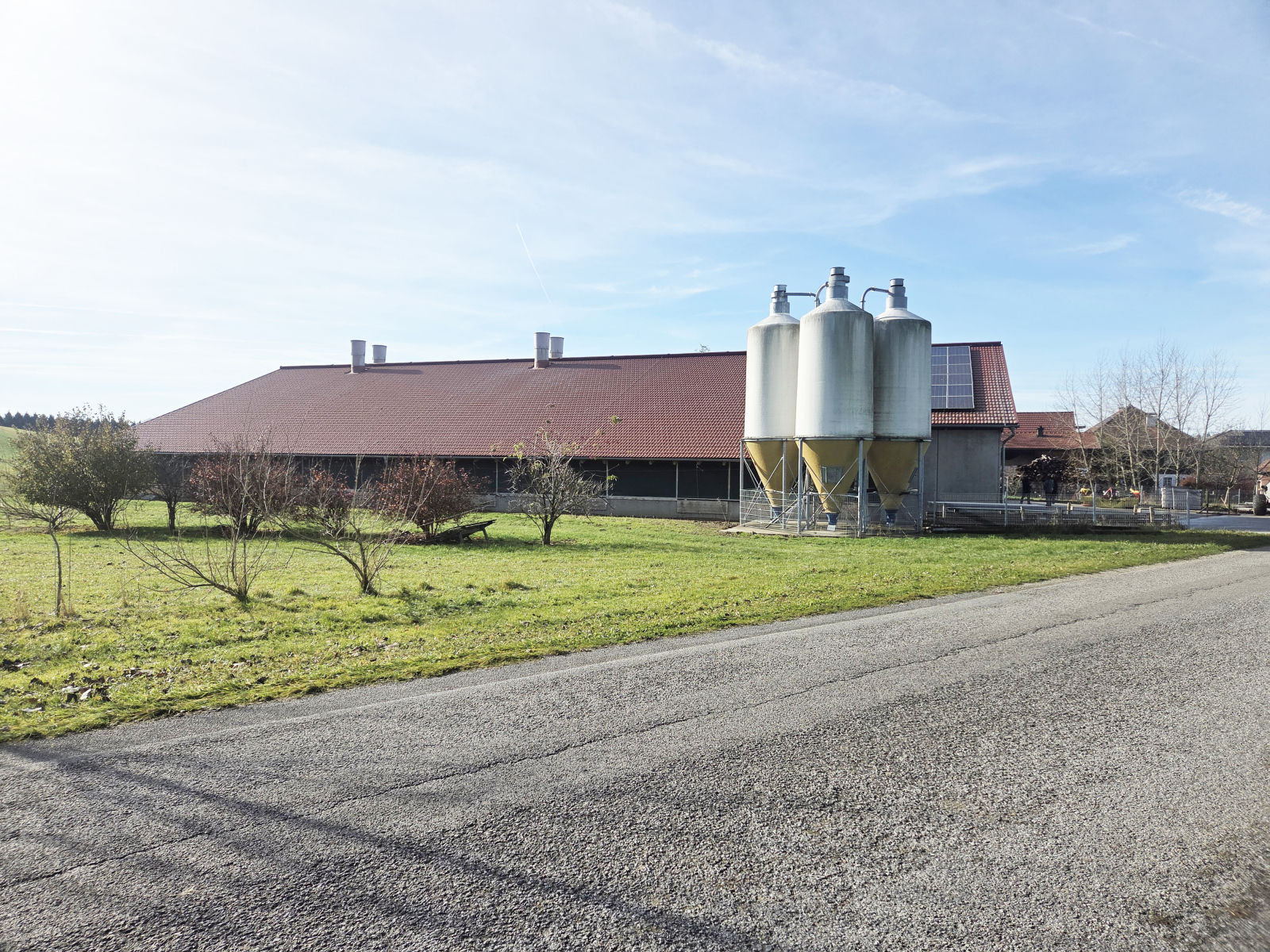 F1 Stallansicht b.jpg © LK OÖ