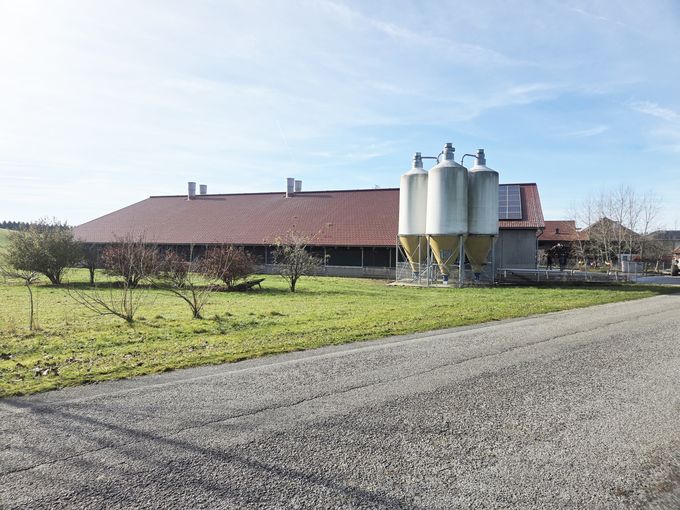 F1 Stallansicht b.jpg © LK OÖ