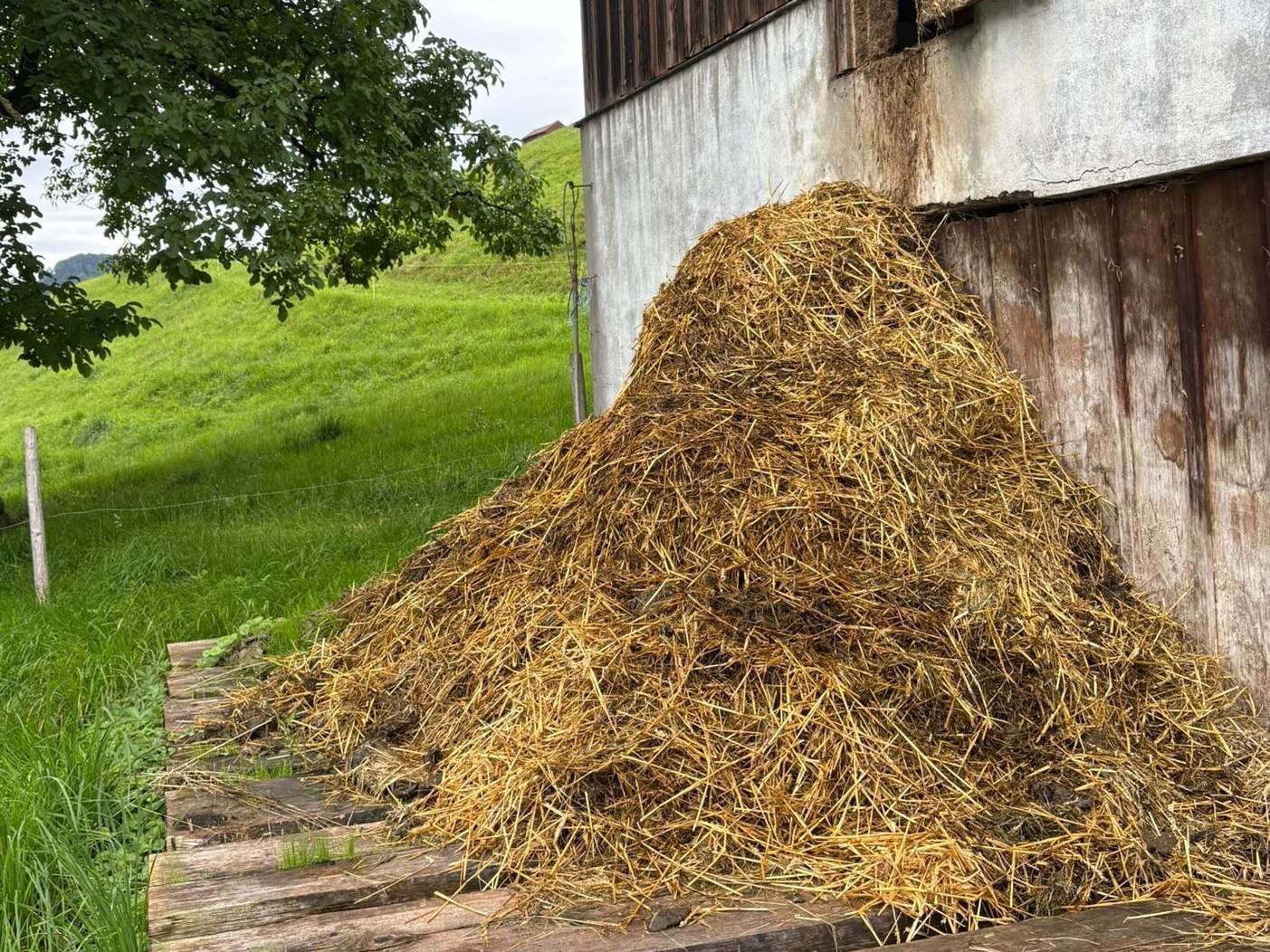 4 Misthaufen.jpg © BWSB/Wallner