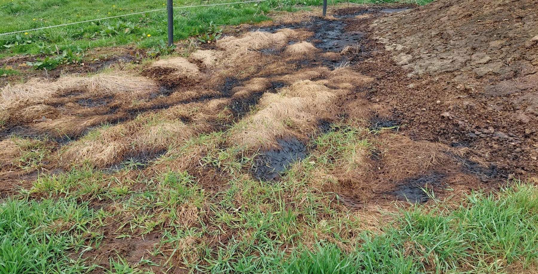 3 Festmistlagerstätte.jpg © BWSB/Wallner