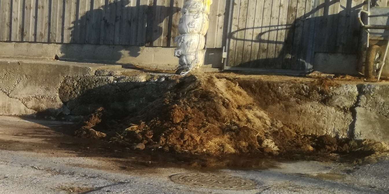 6 Mistplatz.jpg © BWSB/Wallner