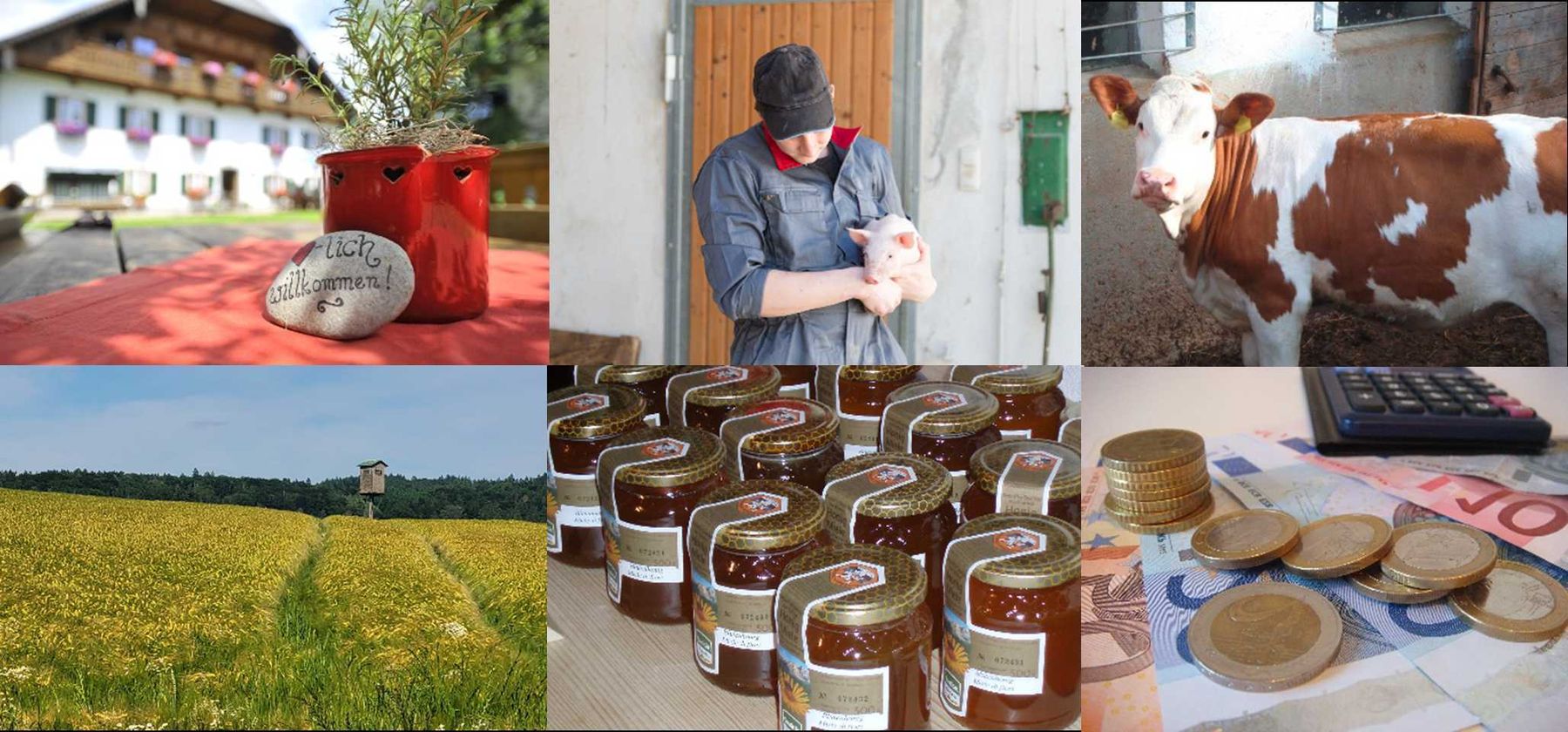 Collage Forum UF.jpg © Wegerer, AdobeStock/#213646301, UaB OÖ_Ralph Fischbacher