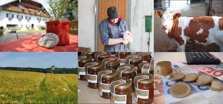 Collage Forum UF.jpg © Wegerer, AdobeStock/#213646301, UaB OÖ_Ralph Fischbacher