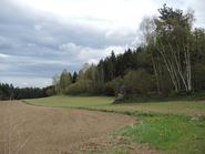 Landschaft 2025.jpg © BBK Zwettl