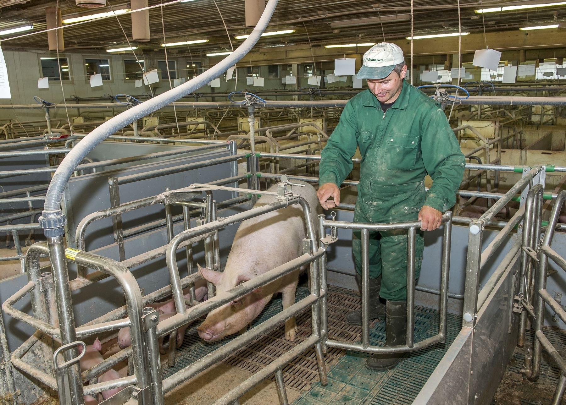 Handhabung der Bewegungbuchten.jpg © LK OÖ/Stockinger