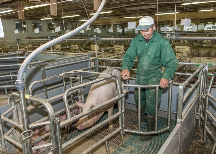 Handhabung der Bewegungbuchten.jpg © LK OÖ/Stockinger