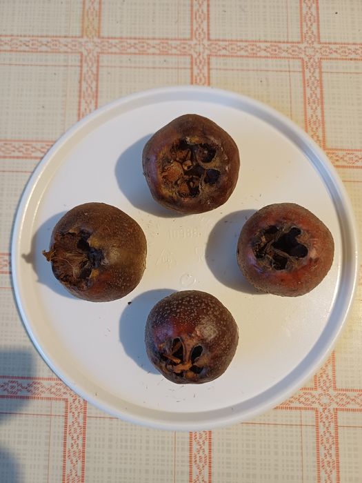 [1765959649626169_1.jpg]