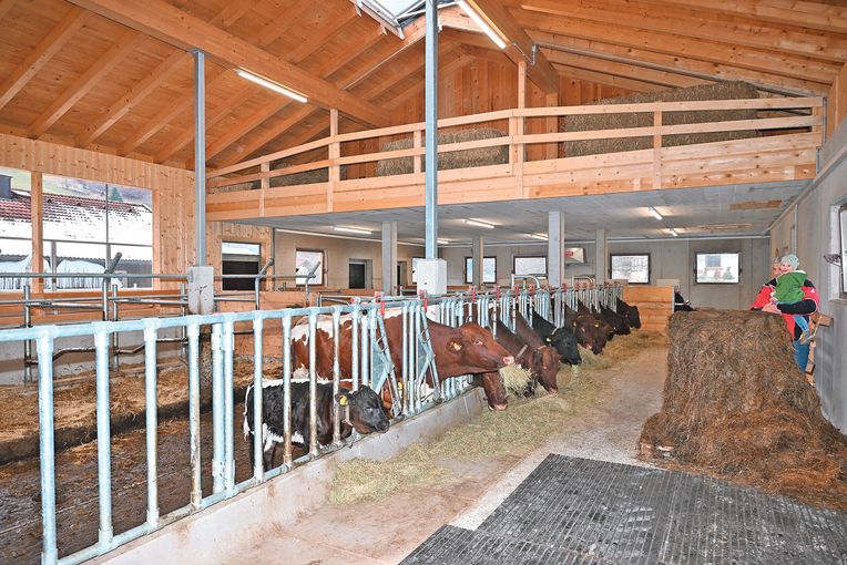 Wenn Wünsche wahr werden – mit neuem  Stall in die Zukunft.jpg © Mooslechner