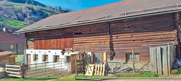 Wenn Wünsche wahr werden – mit neuem  Stall in die Zukunft.jpg © Mooslechner