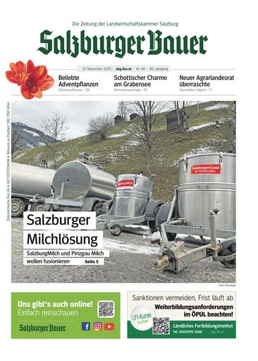 Jahresrückblick 2025.jpg © Archiv