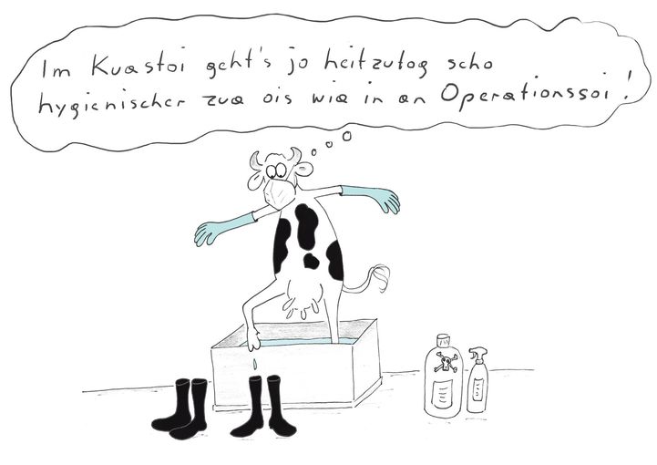 Jahresrückblick 2025.jpg © Mitterwallner