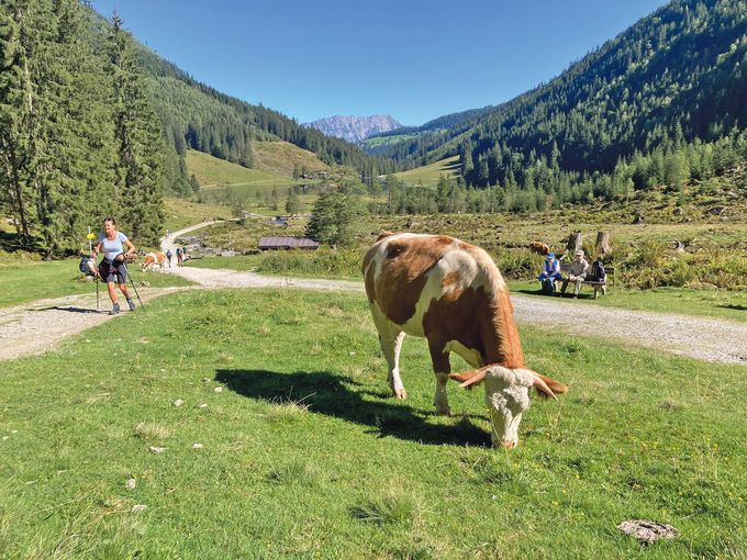 Jahresrückblick 2025.jpg © Dürnberger