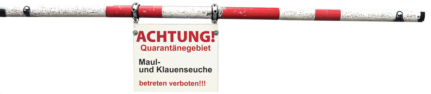 Jahresrückblick 2025.jpg © Adobe Stock