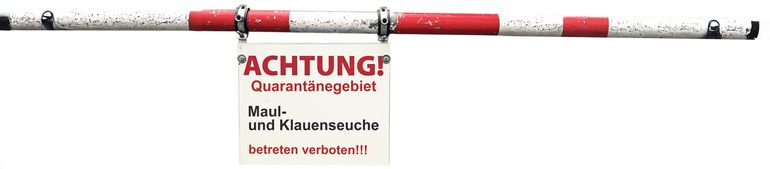 Jahresrückblick 2025.jpg © Adobe Stock