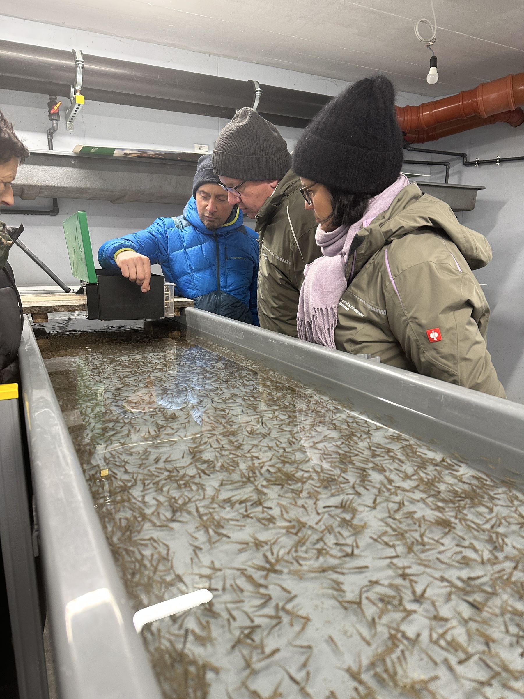 © LK Steiermark/Rinner