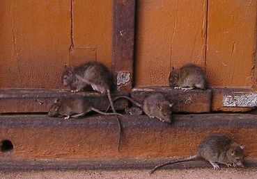 (c) Simon auf Pixabay.jpg © Simon auf Pixabay