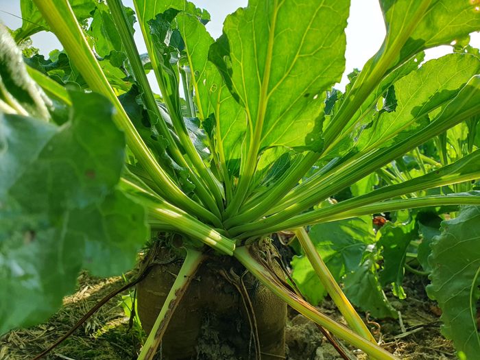 [17660528237258_1.jpg]