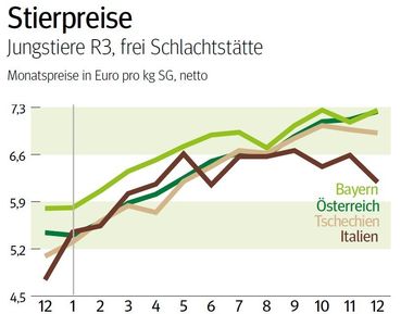 Grafik Stierpreise_01_2026.jpg © Archiv