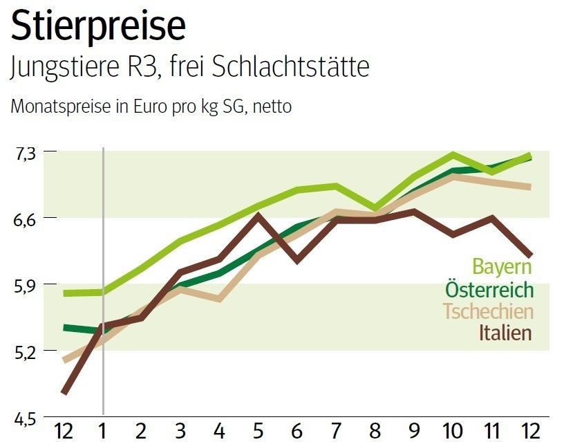 Grafik Stierpreise_01_2026.jpg © Archiv