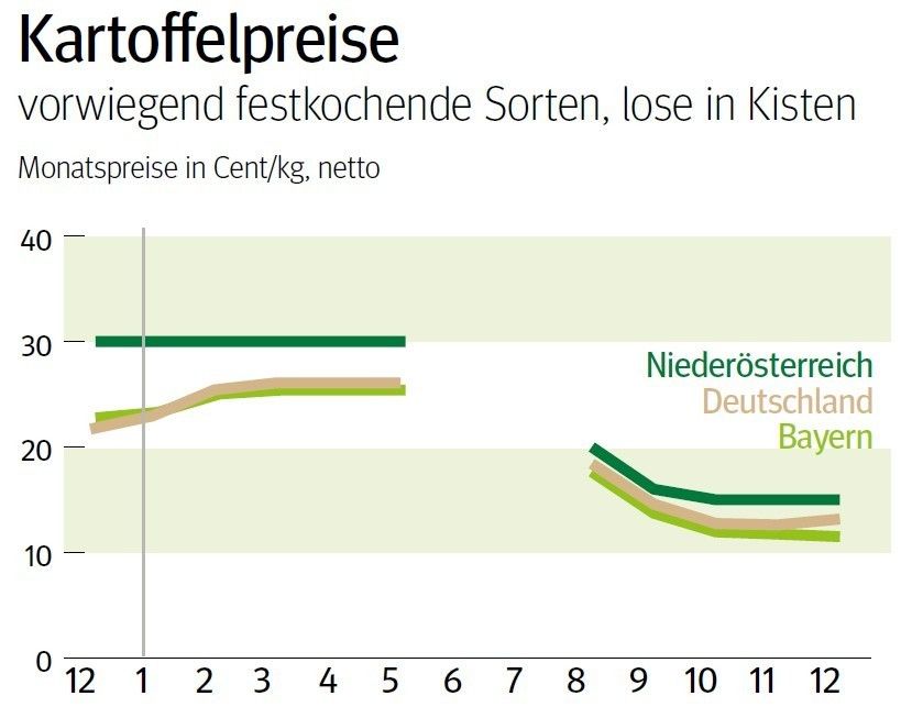 NÖ: Ausblick auf den Kartoffelmarkt im Jänner © LK NÖ