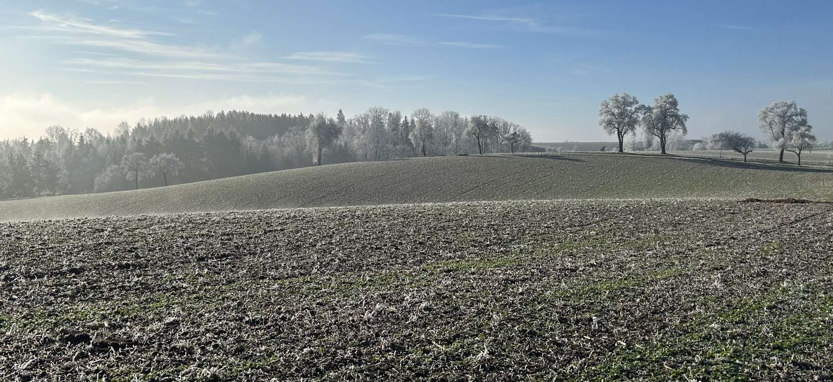 Winterlandschaft.jpg © LK OÖ/Mandl