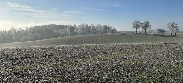 Winterlandschaft.jpg © LK OÖ/Mandl