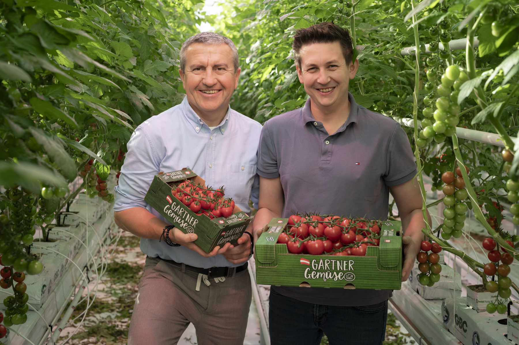 LGV Sonnengemüse Vorstand Josef Peck und Gärtner Thomas Merschl im neuen Gewächshaus.jpg © zweischrittweiter .at