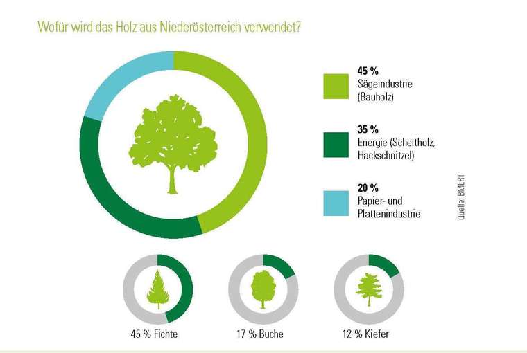 Forstwirtschaft in NÖ.jpg © LK Niederösterreich