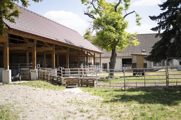 Hof.jpg © LK Wien/Scheiblauer