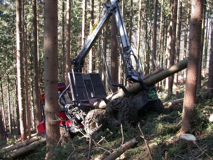 Holzernte Boden LK.jpg © LK OÖ