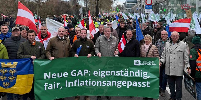 Demo in Brüssel © LK Steiermark