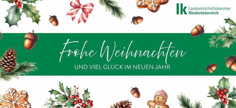 Weihnachtskarte.jpg © Archiv