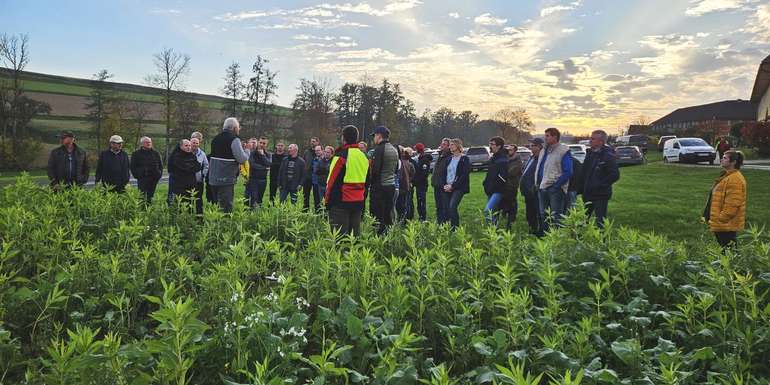 Weiterbildung - Feldbegehung.jpg © BWSB