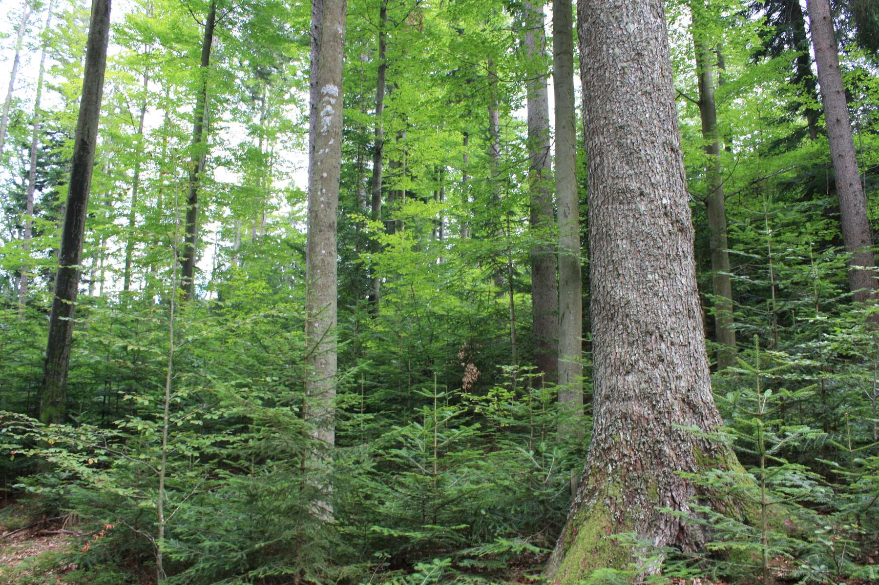 .jpg © LK Steiermark-Matzer