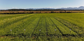  &copy; BWSB/Falkensteiner