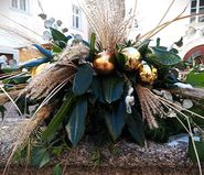 Bild.jpg © Helga Kropfreiter