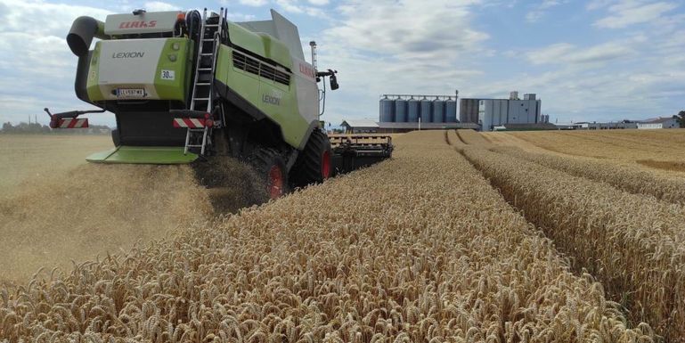 Getreideernte_LK OÖ_klein © Landwirtschaftskammer OÖ