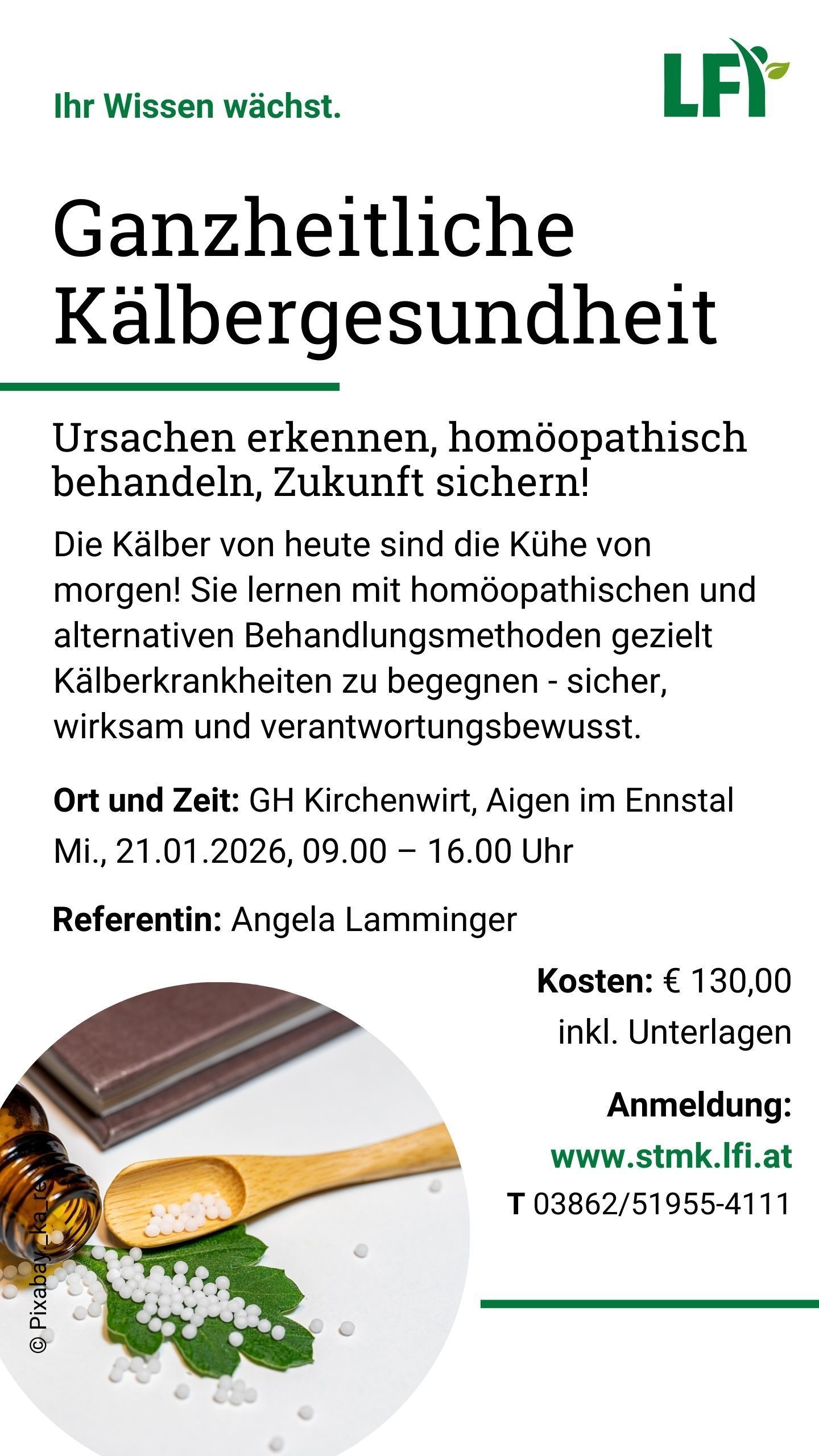 Ganzheitliche Kälbergesundheit 20260121.jpg © Archiv