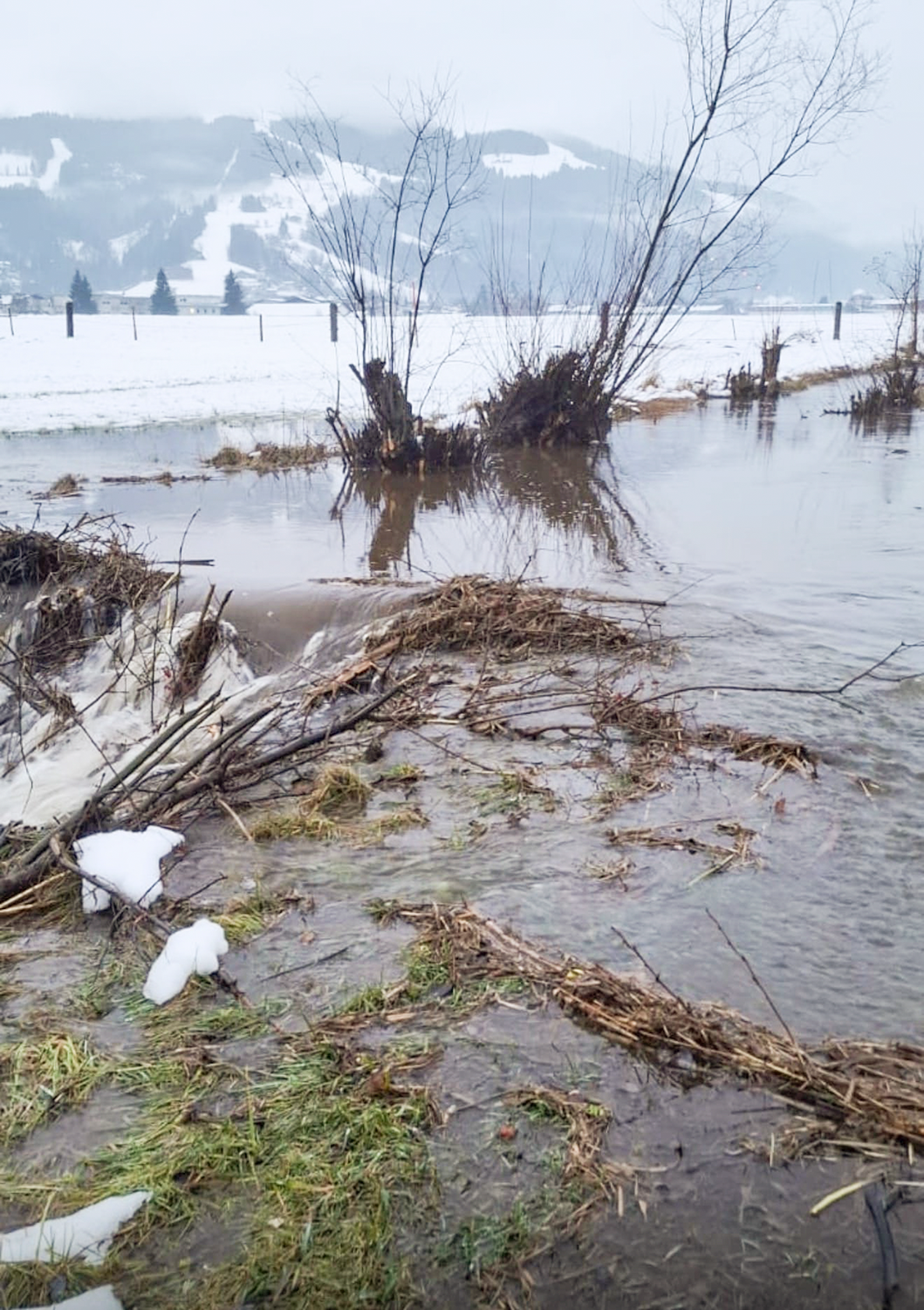 Detail von einem mit Hochwasser überschwemmten Feld © Grander Kopie