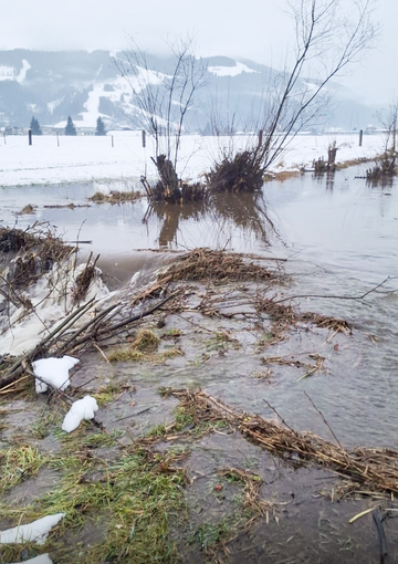 Detail von einem mit Hochwasser überschwemmten Feld © Grander Kopie