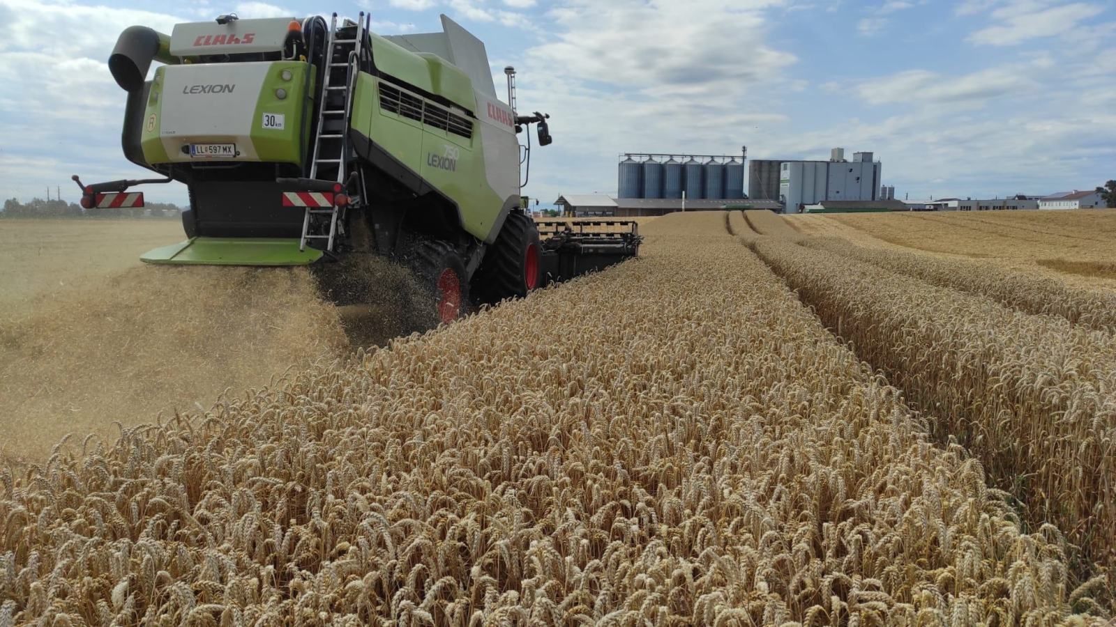 AT_Pflanzenbau_LK OÖ_Feitzlmayr.jpg © LK OÖ/Feitzlmayr