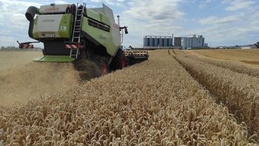 AT_Pflanzenbau_LK OÖ_Feitzlmayr.jpg © LK OÖ/Feitzlmayr