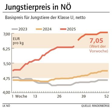 Grafik Stierpreis 01_2026.jpg © LK NÖ