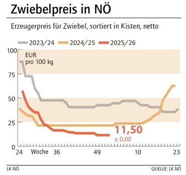 Grafik Zwiebelpreis 01_2026.jpg © LK NÖ