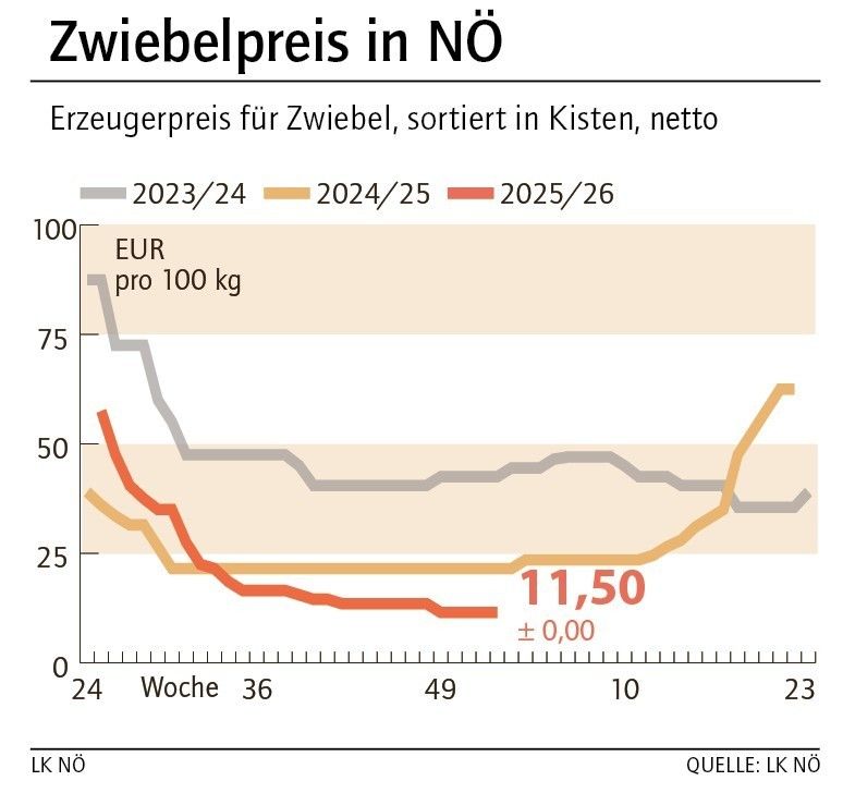 Grafik Zwiebelpreis 01_2026.jpg © LK NÖ
