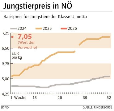 Grafik Stierpreis 02_2026.jpg © LK NÖ