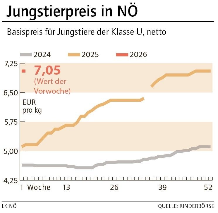 Grafik Stierpreis 02_2026.jpg © LK NÖ