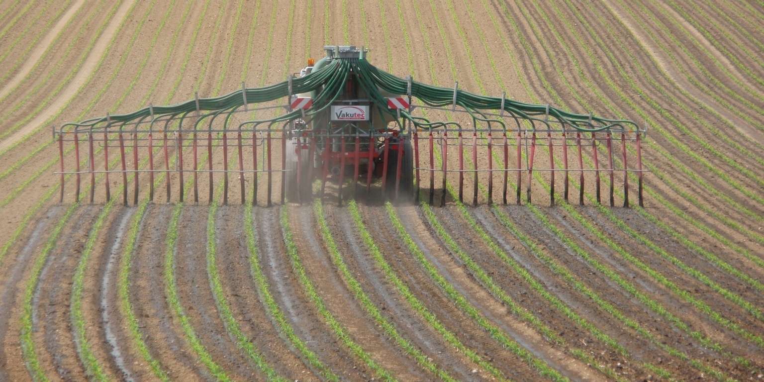 Schleppschlauch in Maisbestand.jpg © BWSB